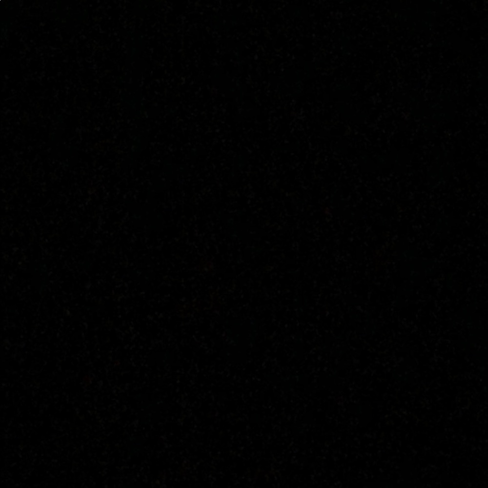 Meet your Posher, Shayla